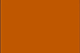 Color swatch of Burnt Orange