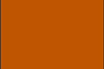 Color swatch of Burnt Orange